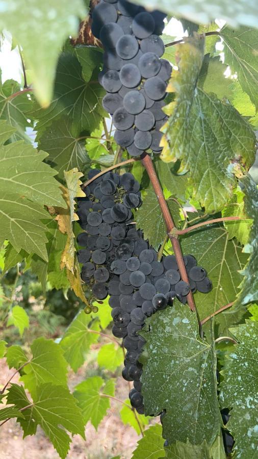 Quinta De Gestacos Βίλα Geres Εξωτερικό φωτογραφία